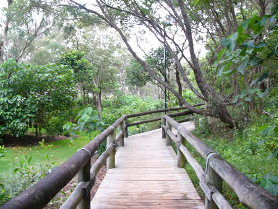 Noosa in cyclone season